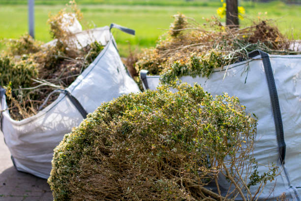 Best Demolition Debris Removal  in Alva, FL